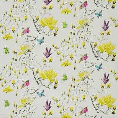 Madame Butterfly Ii - Acacia