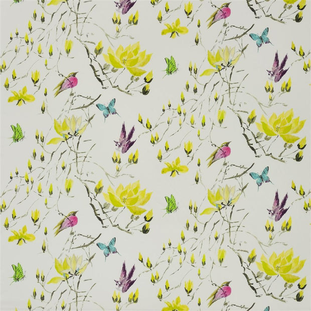 Madame Butterfly Ii - Acacia