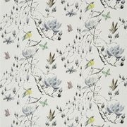 Madame Butterfly Ii - Delft