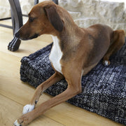 William Yeoward Seborga - Pewter