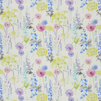 Fleur Sauvage - Delphinium