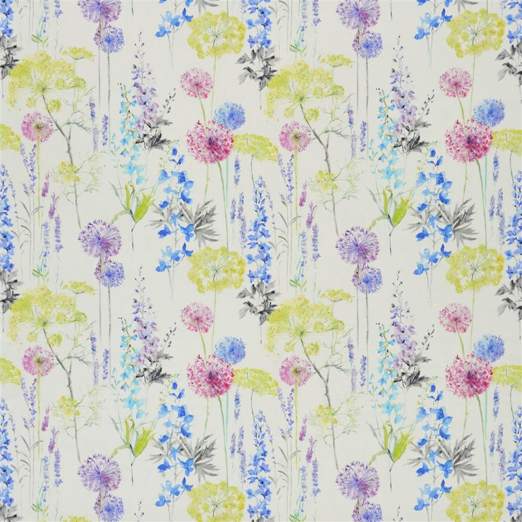 Fleur Sauvage - Delphinium