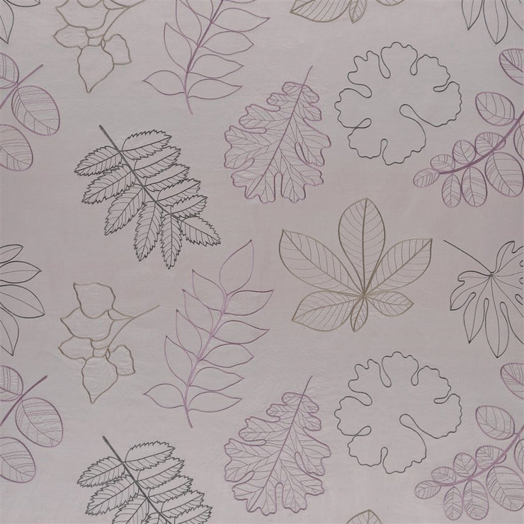 Versailles Garden - Iris