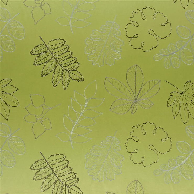 Versailles Garden - Leaf