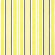 Brooksville - Acacia