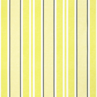 Brooksville - Acacia