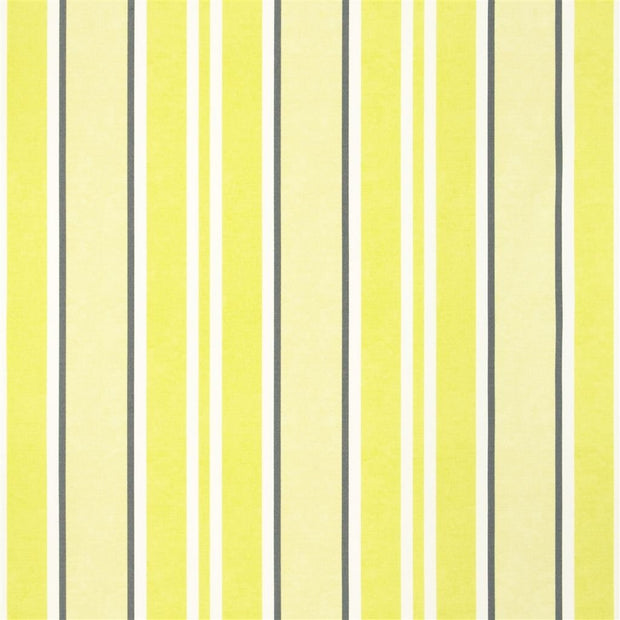 Brooksville - Acacia