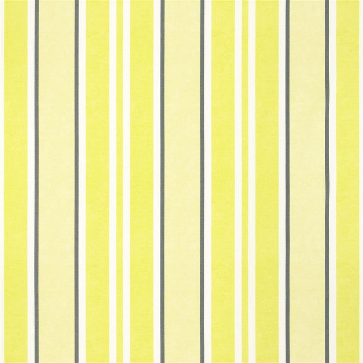 Brooksville - Acacia