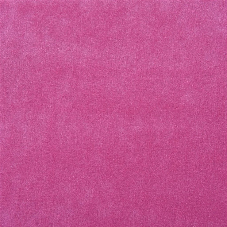 Varallo - Fuchsia