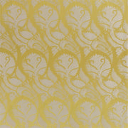 Majella - Alchemilla