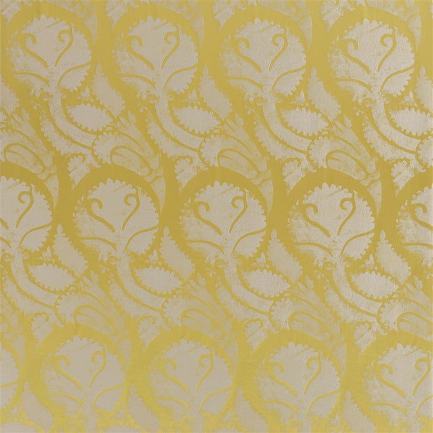 Majella - Alchemilla