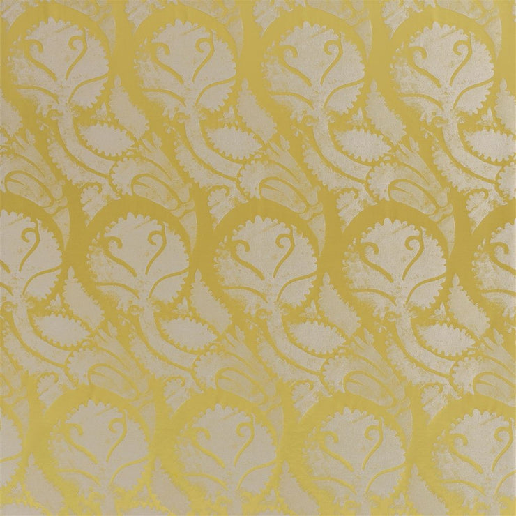 Majella - Alchemilla