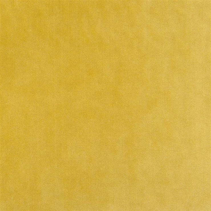 Varallo - Alchemilla