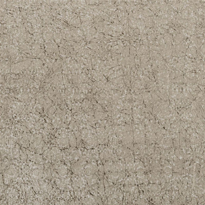 Cabochette - Moleskin