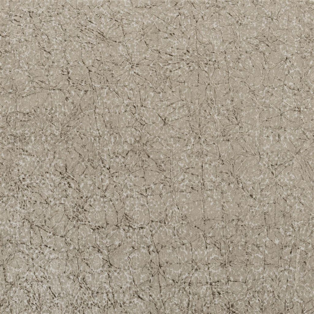 Cabochette - Moleskin