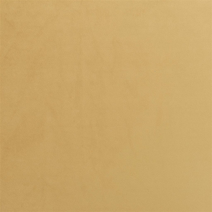 Trentino - Ochre
