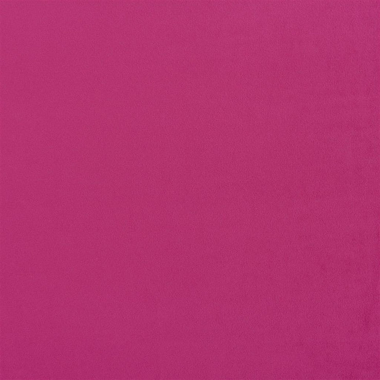 Trentino - Magenta