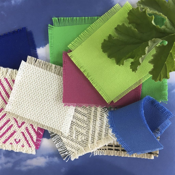 Designers Guild Lovina Outdoor Grass