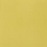 Trentino - Alchemilla