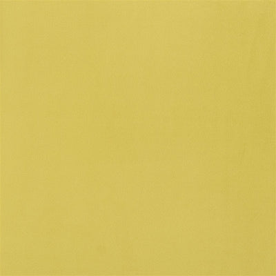 Trentino - Alchemilla