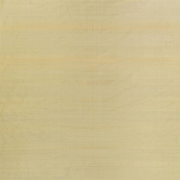 Chinon - Silver Birch