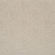 Sesia - Silver Birch