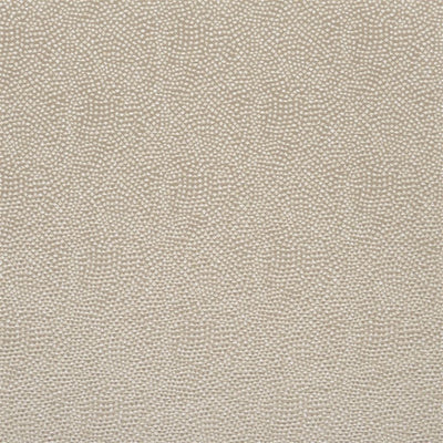 Sesia - Silver Birch