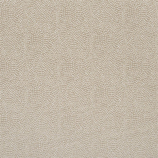 Sesia - Silver Birch