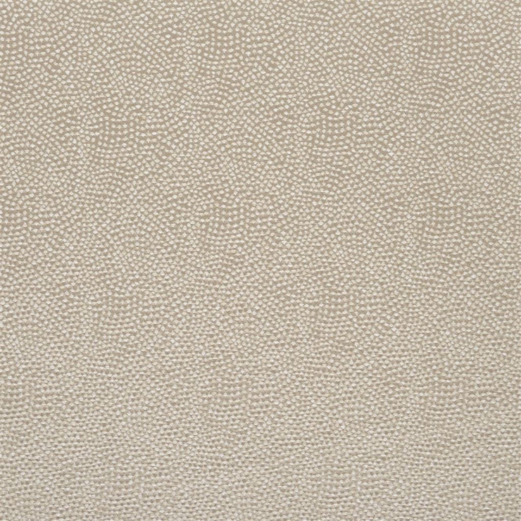 Sesia - Silver Birch