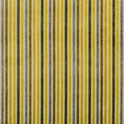 Marshall - Alchemilla