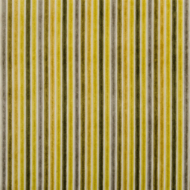 Marshall - Alchemilla