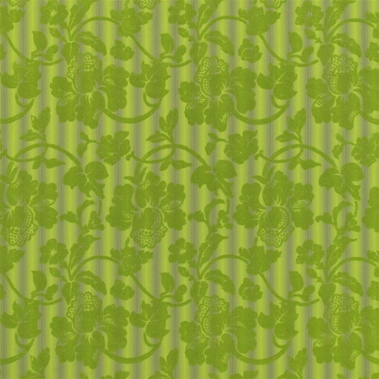 Imperial Flower - Jasmine