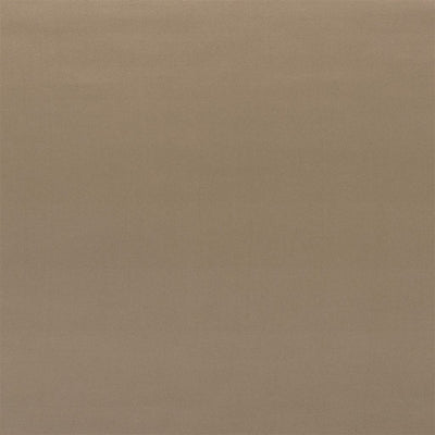 Tizzoro Alta - Moleskin