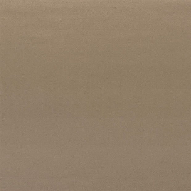 Tizzoro Alta - Moleskin