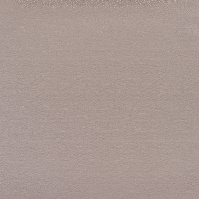 Marcello Alta - Cappuccino