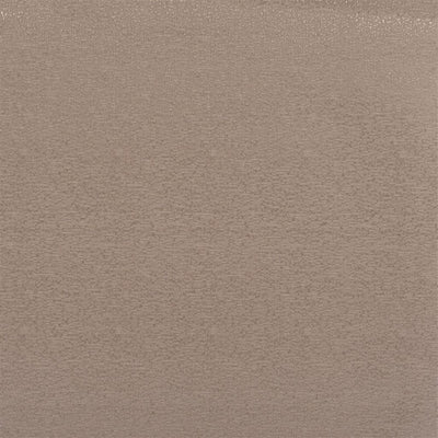 Marcello Alta - Moleskin