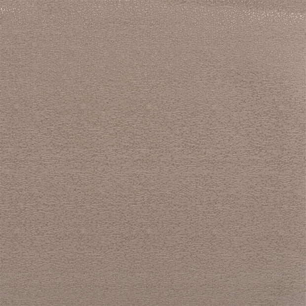 Marcello Alta - Moleskin