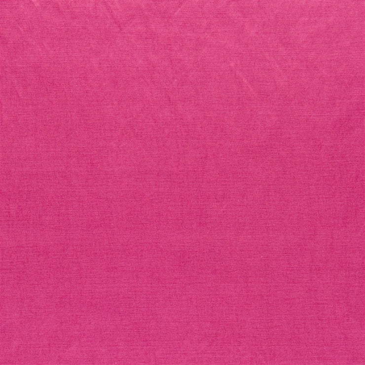 Arietta - Fuchsia