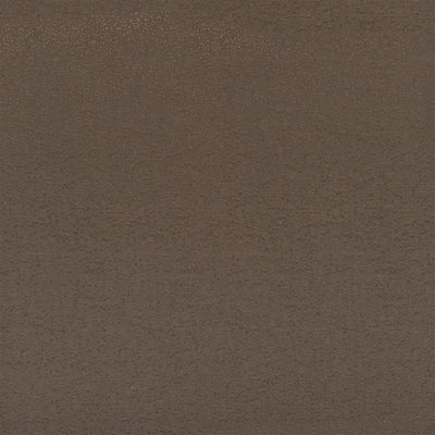 Marcello Alta - Beech