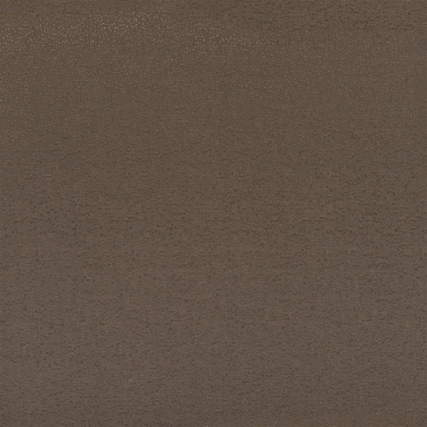 Marcello Alta - Beech