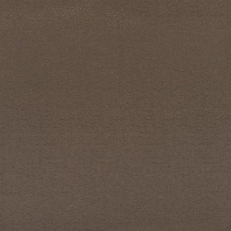 Marcello Alta - Beech