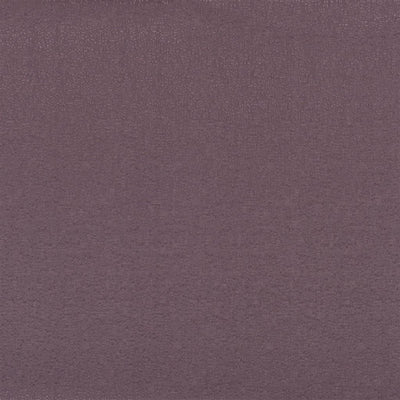 Marcello Alta - Dewberry