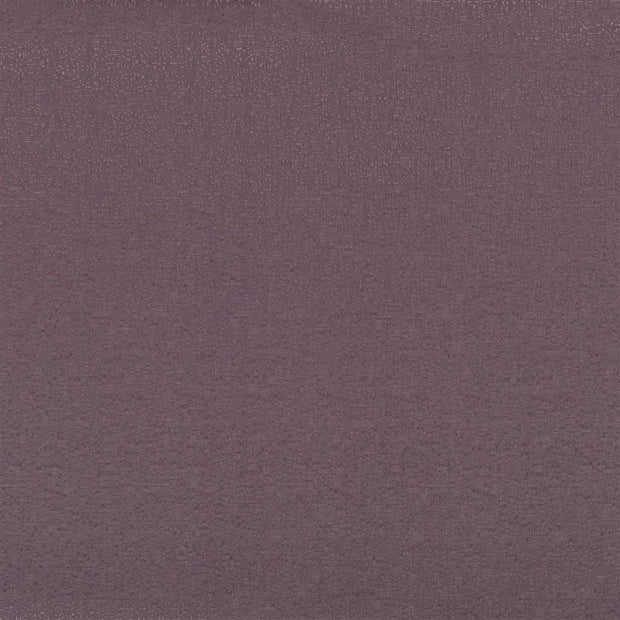 Marcello Alta - Dewberry