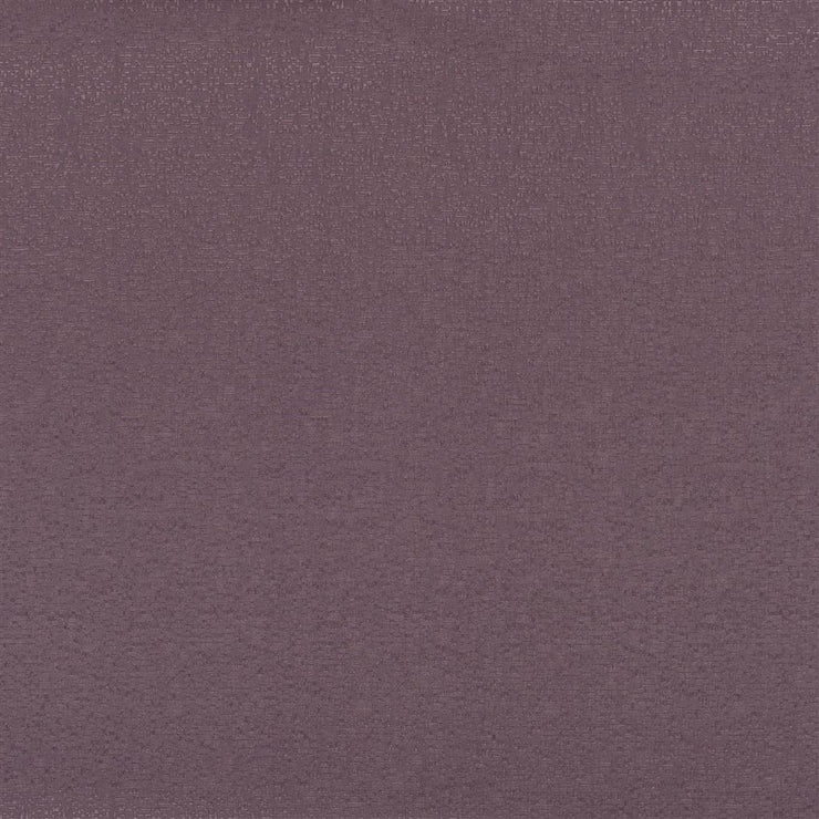 Marcello Alta - Dewberry