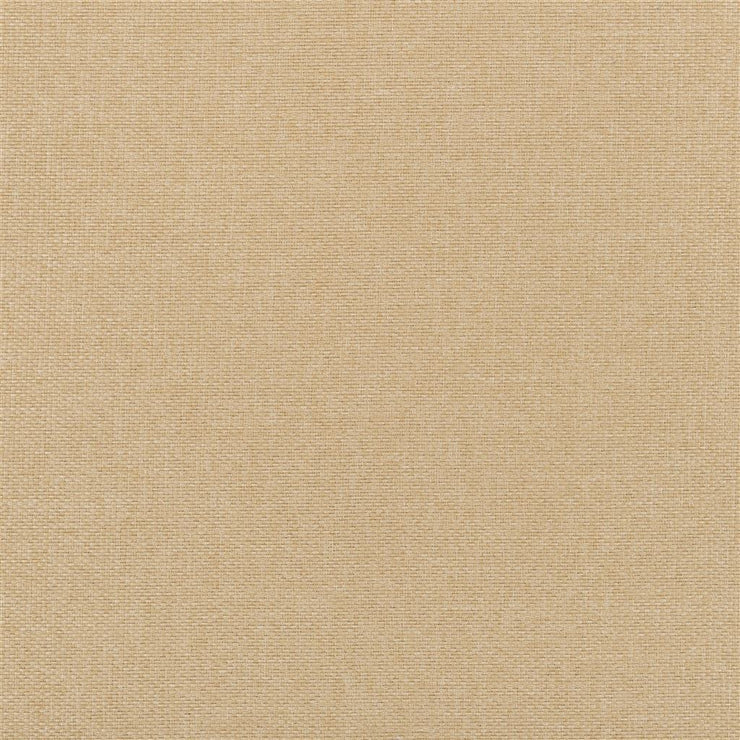 Belloni Alta - Seagrass