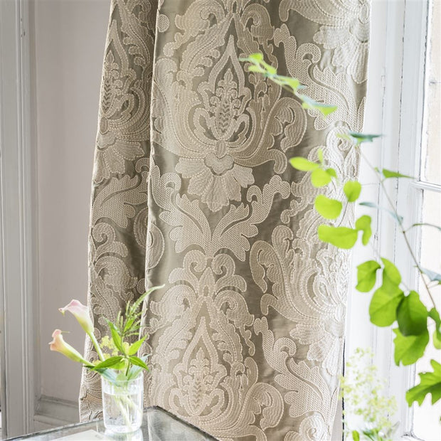 Royal Collection Connaught Mimosa