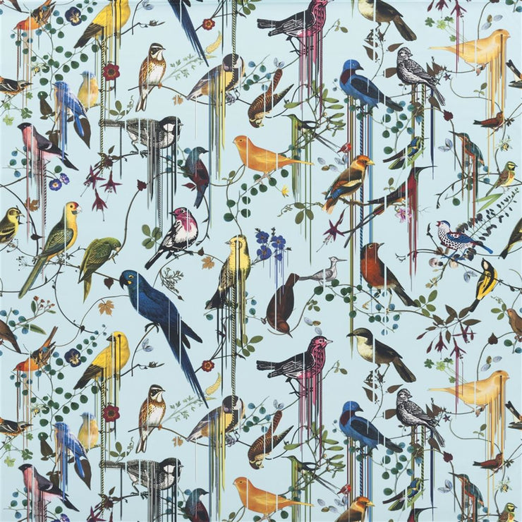 Birds Sinfonia - Source