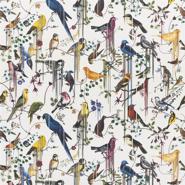 Birds Sinfonia - Perce Neige