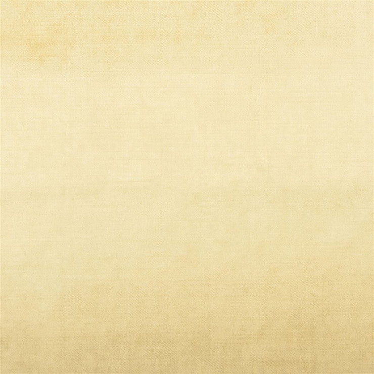 Vicenza - Lemongrass