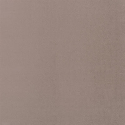 Trentino Stretto - Moleskin